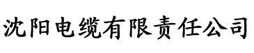 麻花天美星空无限电缆厂logo